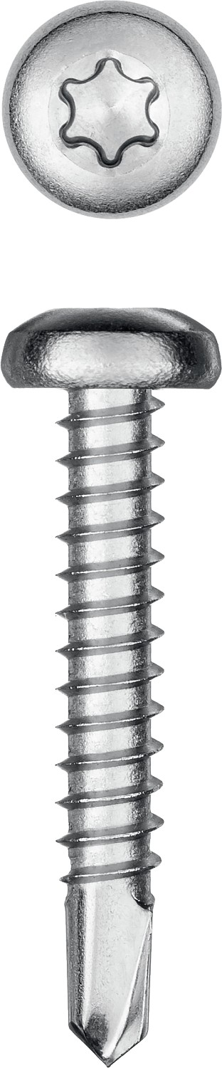 KRAFTOOL DS-P, 32 х 4.8 мм, А2, сверло, полукруглая головка, ТХ25, 250 шт, саморез нержавеющий (300931-48-032)