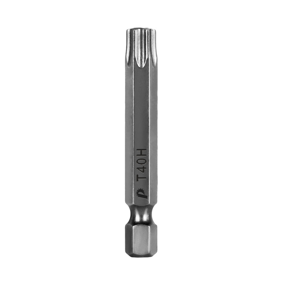 Бита отверточная ПРАКТИКА  "Профи"  Torx Tamper-40 х 50мм  (2шт), блистер