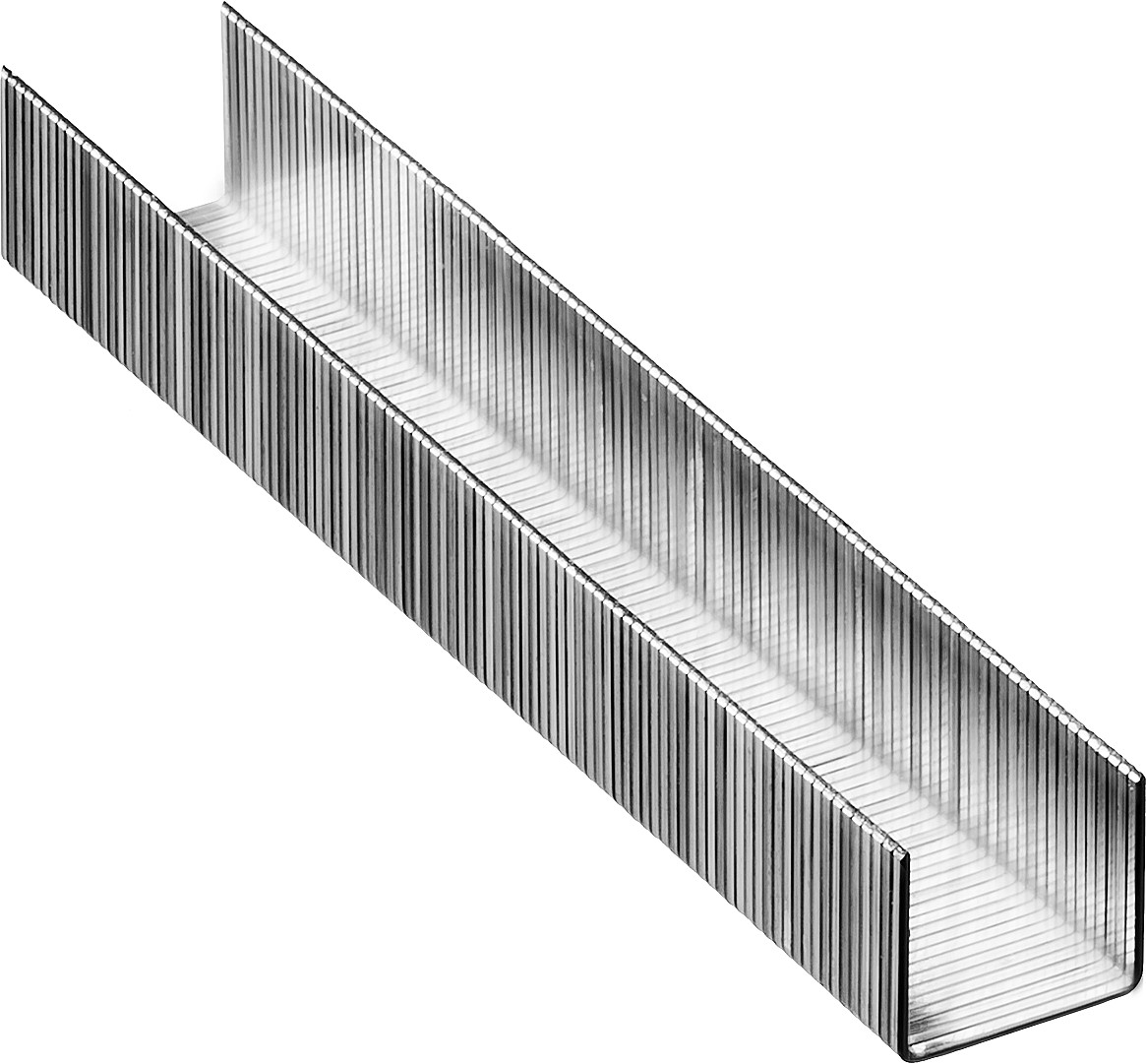 STAYER скобы тип 53 (A/10/JT21), 12 мм, калибр 23GA. 1000 шт. (3159-12)
