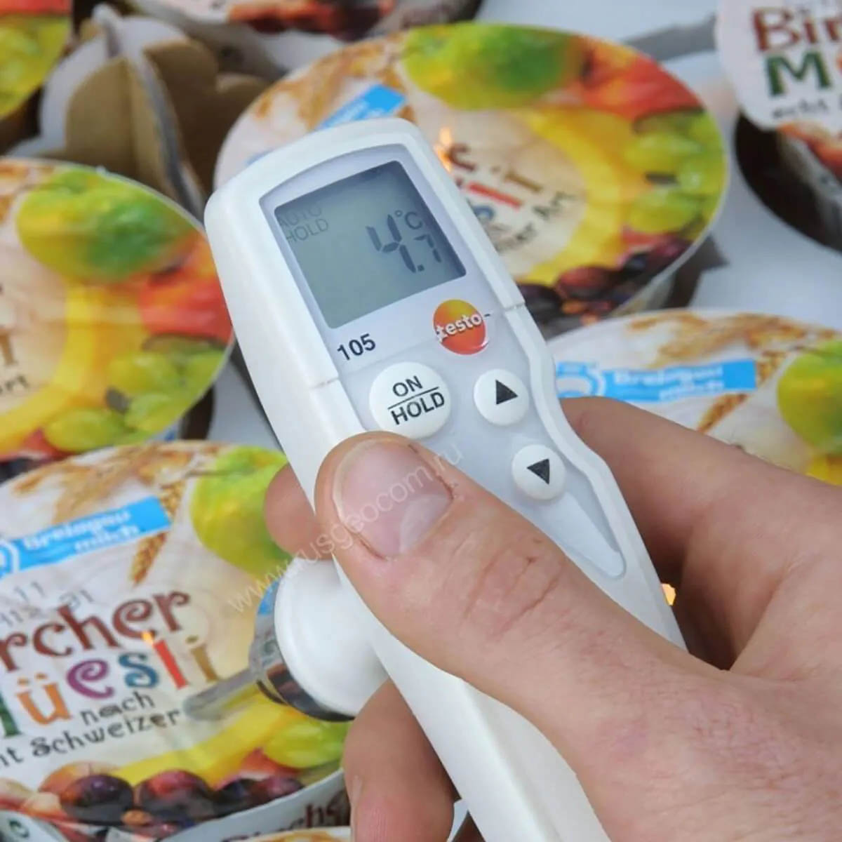 Комплект Testo 105 с зондом для замороженных продуктов с поверкой