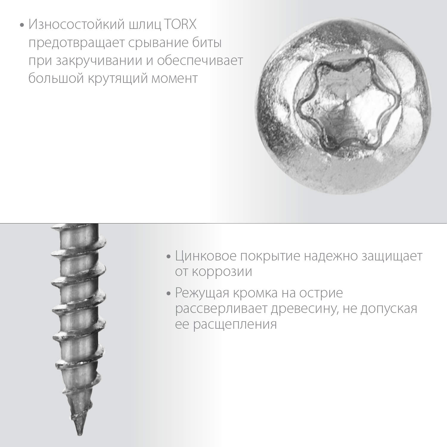 ЗУБР СПК, 50 х 5 мм, TX20, цинк 170 шт (0,68 кг.), саморез для перфорированного крепежа, Профессионал (30061-50-50)