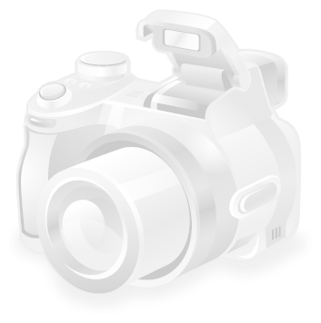 Дрель безударная MAKITA DP2010