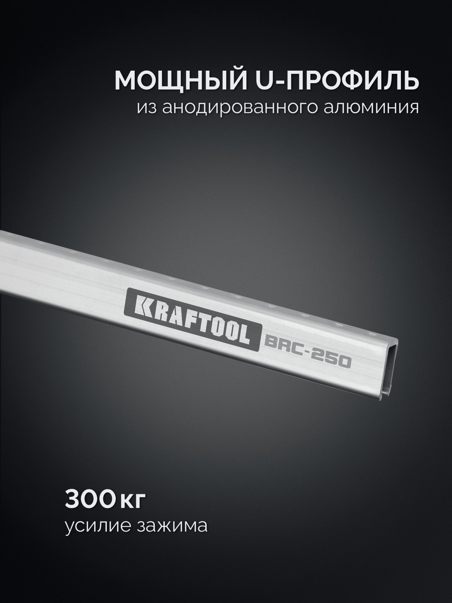 KRAFTOOL BRC-250, 2540/48 мм, высокоточная струбцина-вайма (32313-250)