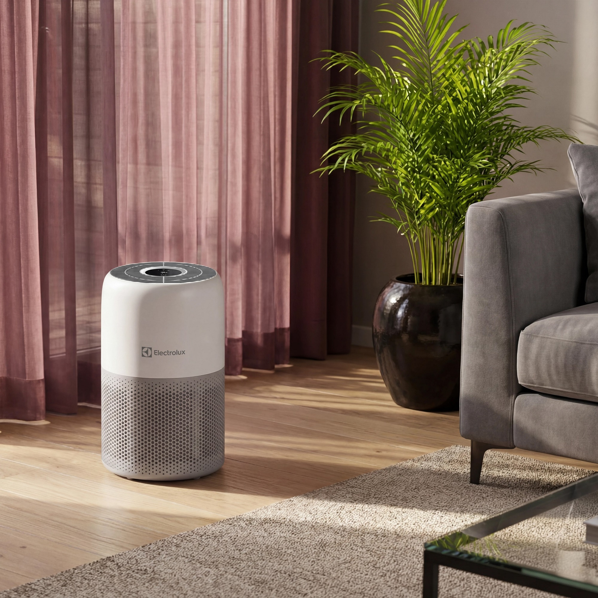 Очиститель воздуха Electrolux EAP-1010D