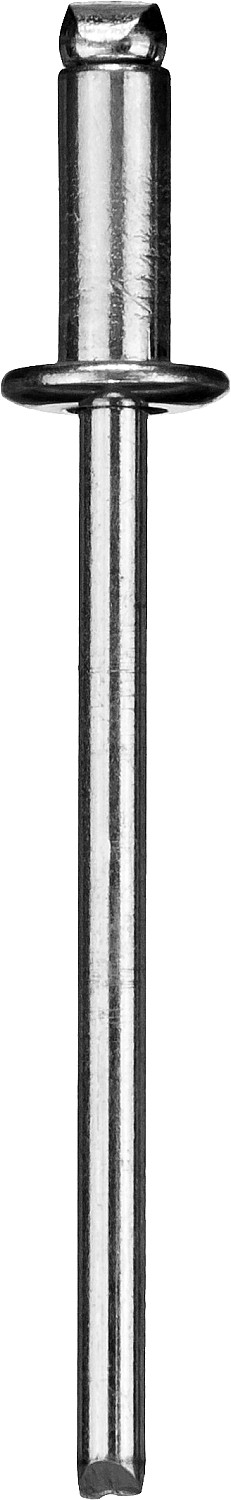 ЗУБР 4.8 x 12 мм, 50 шт, стальные заклепки, Профессионал (313126-48-12)