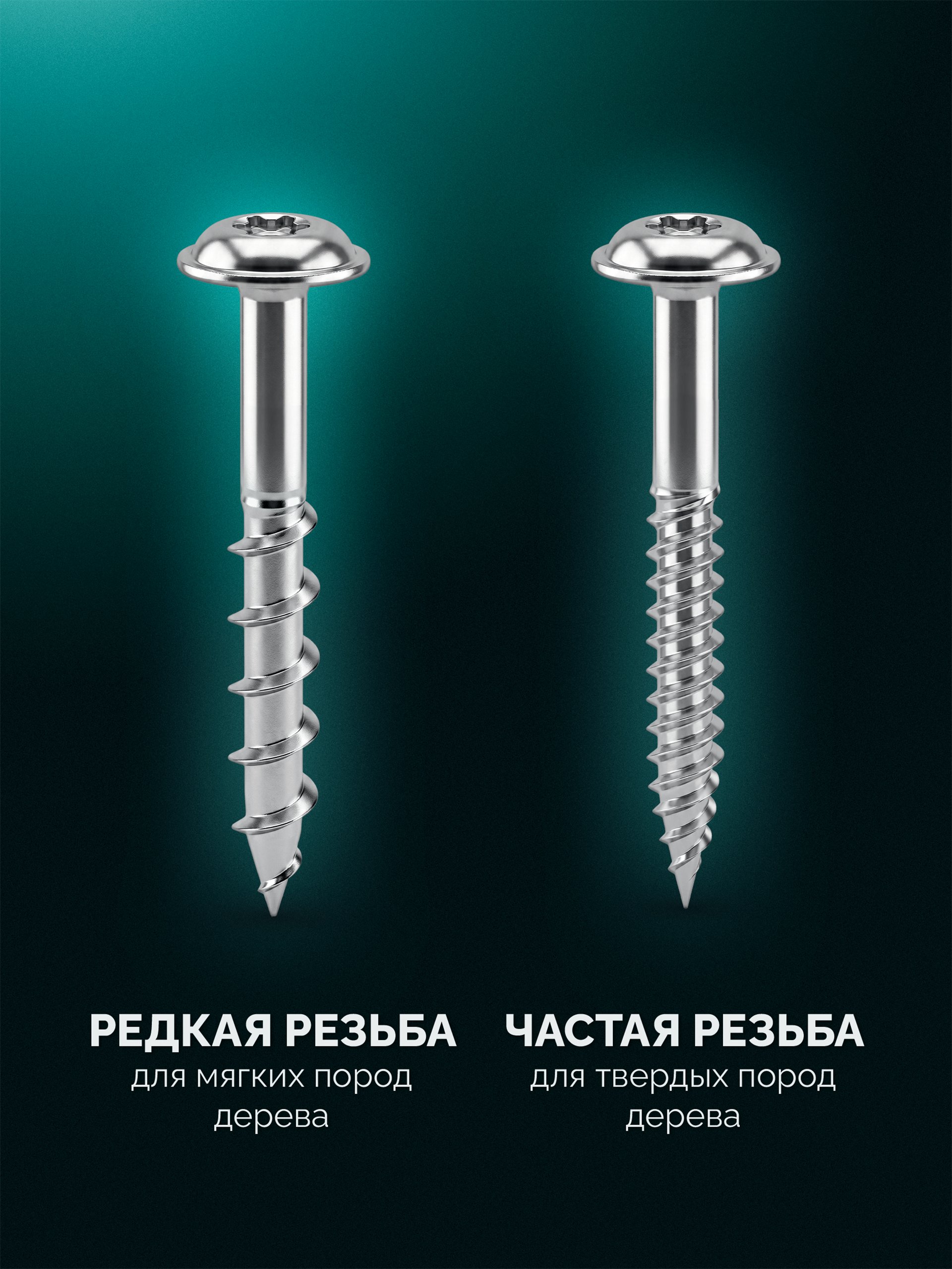KRAFTOOL Woodsniper-PHS, 850 шт, в систейнере, набор саморезов для глухих отверстий (30067-PH)